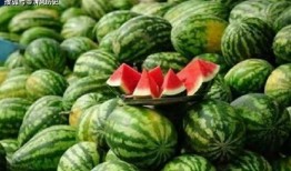 吃瓜网还有啥网,网络舆论场的新势力