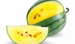 菏泽单县吃瓜,瓜果飘香，品味田园生活