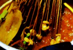 童瓜吃串串,一场味蕾与童趣的完美邂逅