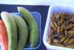 正宗的西沙瓜怎么吃,解锁夏日清新美味的多重吃法