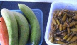 正宗的西沙瓜怎么吃,解锁夏日清新美味的多重吃法