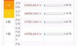 蓝鸟吃瓜网址,带你走进网络热点的背后