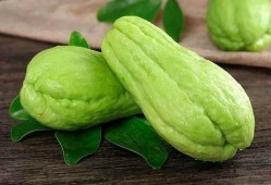 吃瓜的很多,揭秘娱乐圈背后的故事