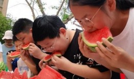 湾区吃瓜群众,揭秘娱乐圈幕后风云