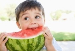 综艺吃瓜鹅活宝