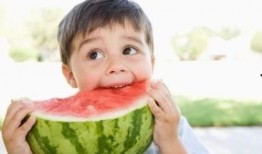 综艺吃瓜鹅活宝