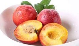 每天吃网纹瓜,健康生活新选择