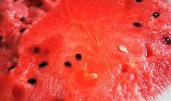 商场吃瓜图片,揭秘日常生活中的趣味瞬间