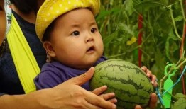 各类吃瓜群,网络社交的趣味与争议