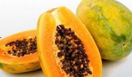 梦着摘瓜吃,一场摘瓜吃的美妙梦境之旅