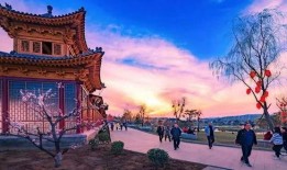 司徒小镇吃瓜在哪,探寻吃瓜胜地，品味夏日清凉