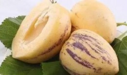 茄瓜怎么吃无毒无害,无毒无害的多样美味探索