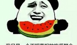 当了回吃瓜群众,见证娱乐圈风云变幻