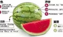 微信吃瓜榜,揭秘热门话题背后的真相与笑料