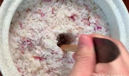 田瓜能做酒曲吃吗,天然酒曲的神秘食材探索