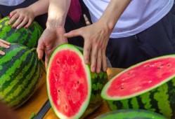 长青大学吃瓜,揭秘校园里的那些事儿