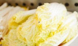 沂水阿玛尼吃瓜,揭秘网红吃瓜背后的故事