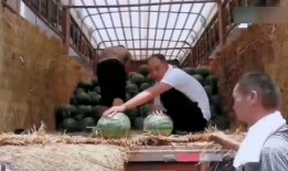 美国吃瓜现场,揭秘娱乐圈幕后真相