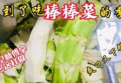 阳谷老师吃瓜,揭秘娱乐圈幕后故事