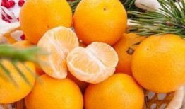 感冒发烧可以吃哈密瓜吗,哈密瓜是适宜的水果选择吗？