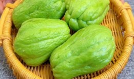 吃佛手瓜禁忌,了解这些，健康饮食更安心