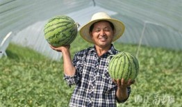 北夜吃瓜,揭秘娱乐圈背后的那些事儿