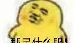 吃瓜证表情包,揭秘网络热图的趣味与内涵