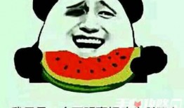 吃瓜骂人梗,网络时代的口水大战