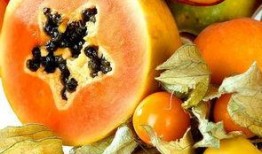 青皮瓜能不能晒瓜干吃呢,美味还是危险？揭秘晒瓜干食用之谜