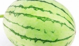 dy户外吃瓜,揭秘户外吃瓜的乐趣与技巧