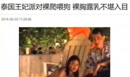 吃瓜群众的片段,一场全民参与的娱乐盛宴