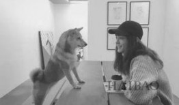 探长吃瓜颜值,颜值与智慧的完美碰撞