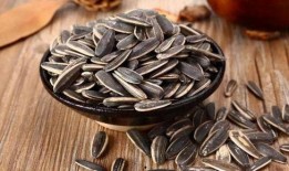 睿智吃瓜不吐瓜子,揭秘娱乐圈背后的真相