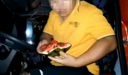 分心吃瓜,揭秘网络时代下的娱乐至上主义