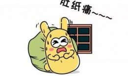 吃瓜群众的号牌