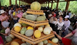 吃瓜团团瓜,揭秘吃瓜团团瓜的传奇故事