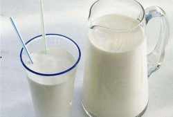 吃小瓜加牛奶,营养美味两不误