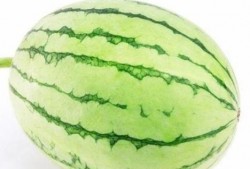 韩城巧玲吃瓜视频,揭秘娱乐圈幕后故事