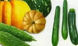 何时贞 吃瓜,揭秘娱乐圈的瓜田秘闻