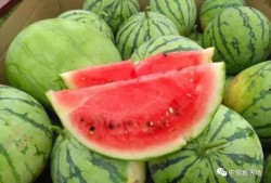 五一吃瓜今日吃瓜娜娜往日大瓜