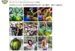 陕西大学吃瓜视频,揭秘校园生活趣味瞬间