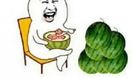 快乐吃瓜组,揭秘娱乐圈幕后故事，带你畅游娱乐盛宴