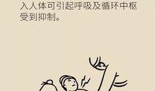 命里终有一别陌路 吃瓜,揭秘人生无常的离别瞬间