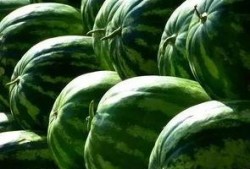 吃的瓜群,揭秘网络热议背后的真相与趣味