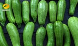 青皮瓜能不能晒瓜干吃呢,美味还是危险？揭秘晒瓜干食用之谜