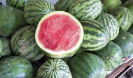 西昌将军里吃瓜