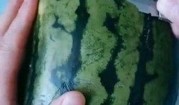 纯活宝吃瓜,揭秘娱乐圈那些不为人知的幕后故事