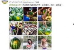 学校软件吃瓜,吃瓜神器背后的秘密与影响