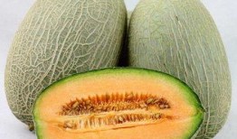 在老家吃哈密瓜