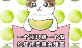 每日吃瓜大赛全部